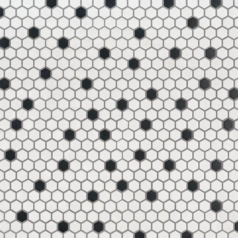 Black And White 1X1 Hexagon Matte